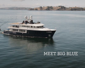 The Big Blue in New Zealand