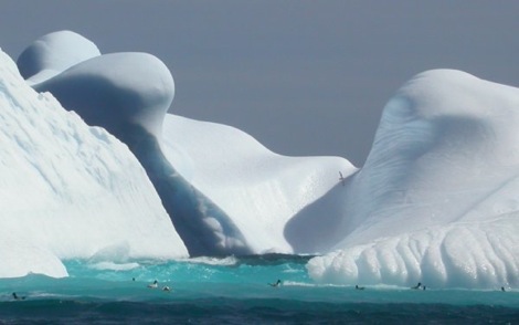Image for article Industry reveals Antarctic voyage safety concerns