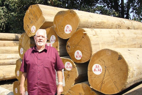 Image for article Clarification on the Myanmar teak export ban
