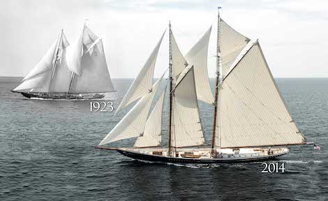 Image for article A voyage of discovery