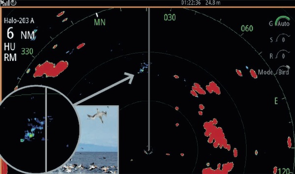 Image for article Simrad launches Halo pulse compression radar