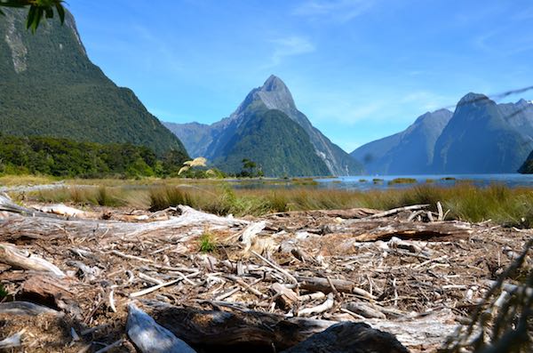 Image for article Course allows yachts to cruise pilot-free in NZ